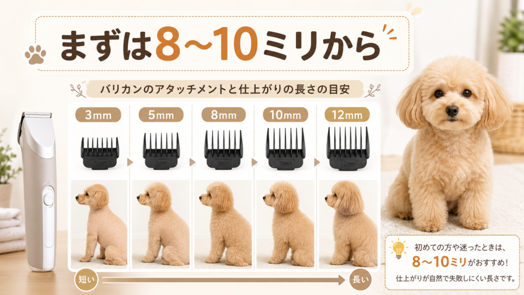犬用バリカンのミリ数別の仕上がり目安