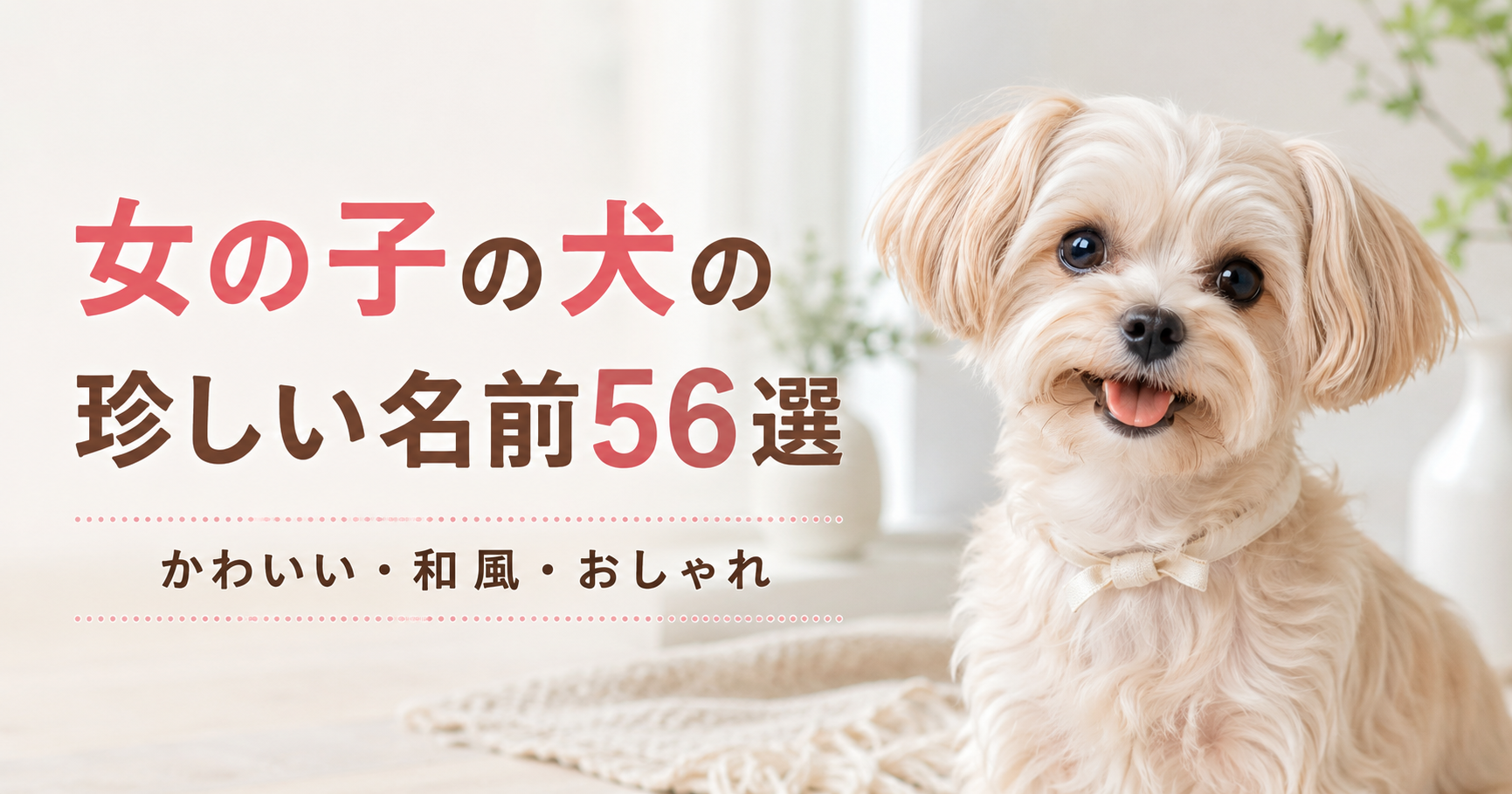 女の子の犬に似合うかわいい和風やおしゃれな珍しい名前56選