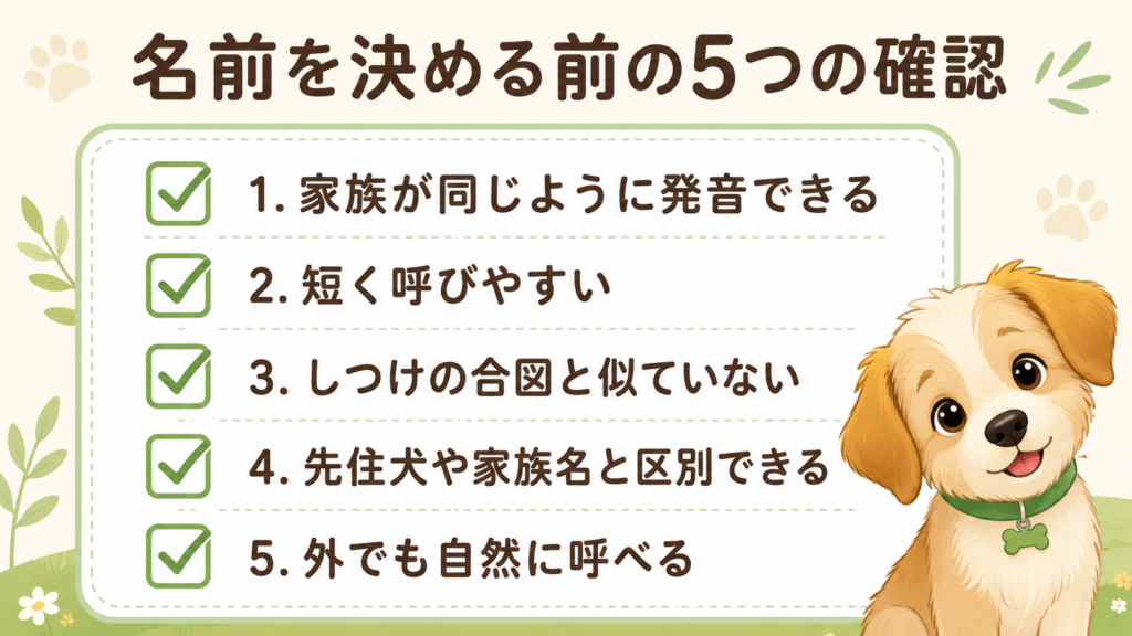 犬の名前を決める前に確認したい5つのポイント