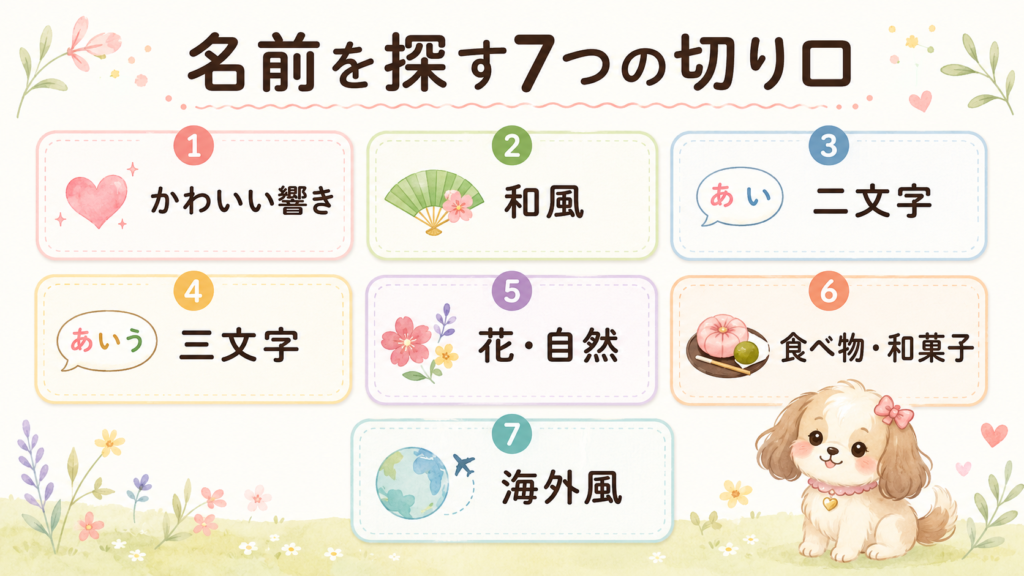女の子の犬に似合う珍しい名前を7分類から選ぶ図解