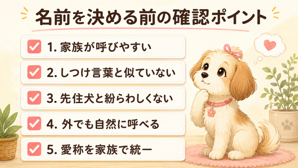 女の子の犬の名前を決める前に確認したい5つのポイント