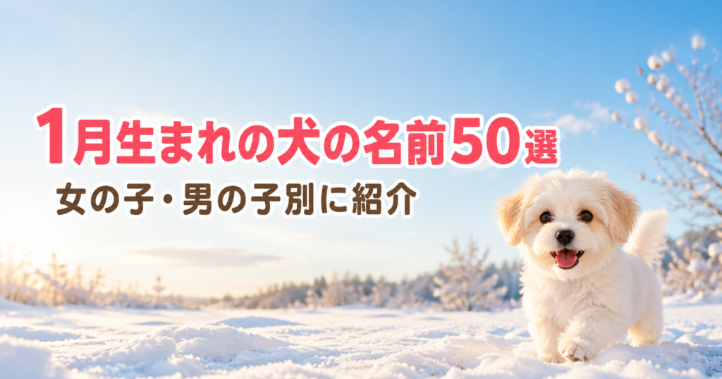 雪景色と朝日を背景にした1月生まれの犬の名前50選のアイキャッチ画像