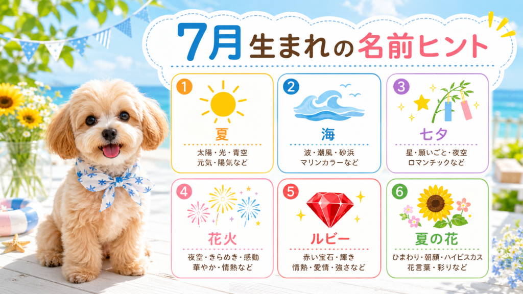 7月生まれの犬の名前を夏や七夕などのテーマで考える図解