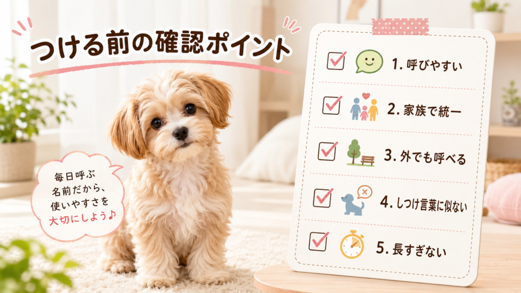 犬の名前を決める前に確認する呼びやすさや家族で統一するポイント