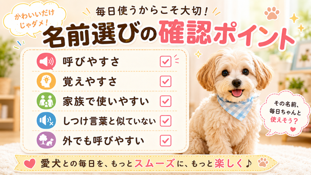 犬の名前を決める前に確認したいポイント