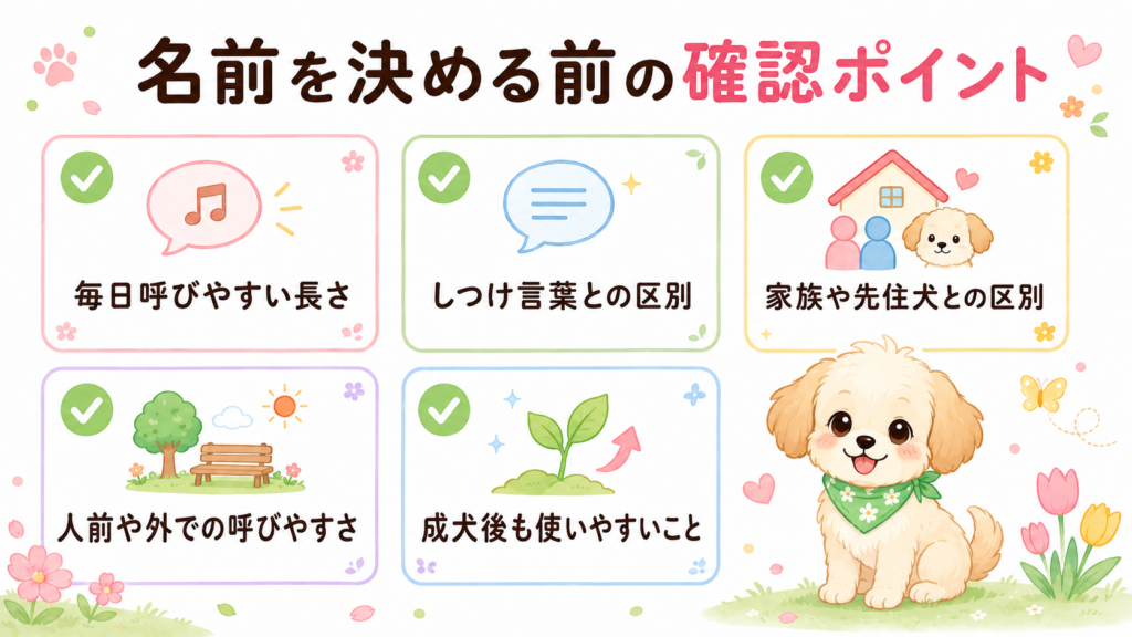 犬の名前を決める前に確認する5つのポイント
