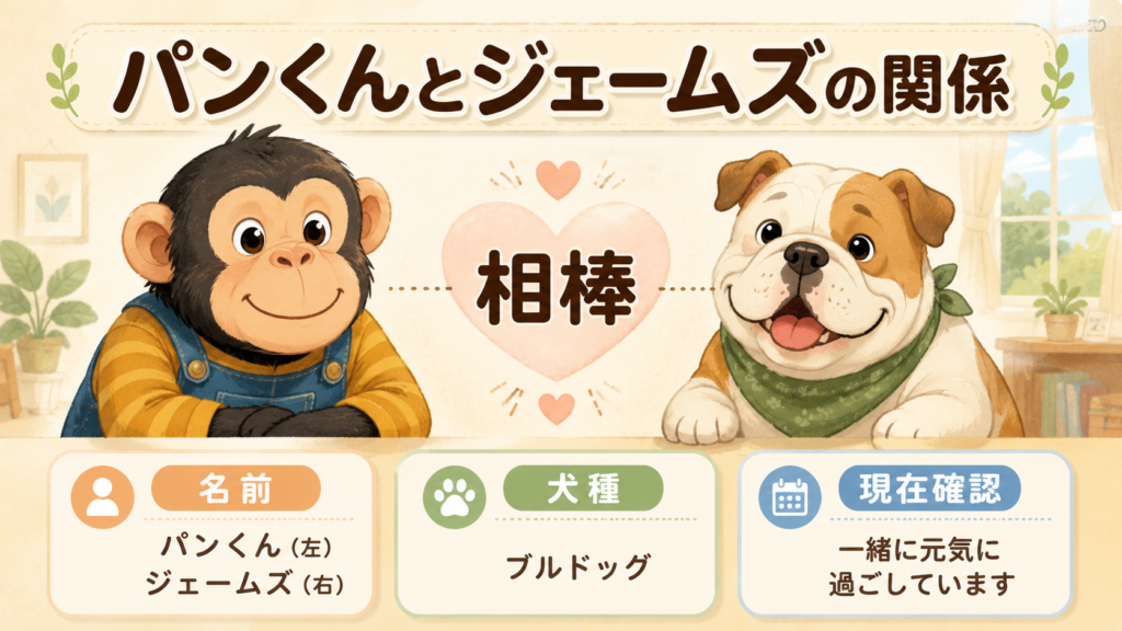 パンくんとジェームズの関係を整理した図解