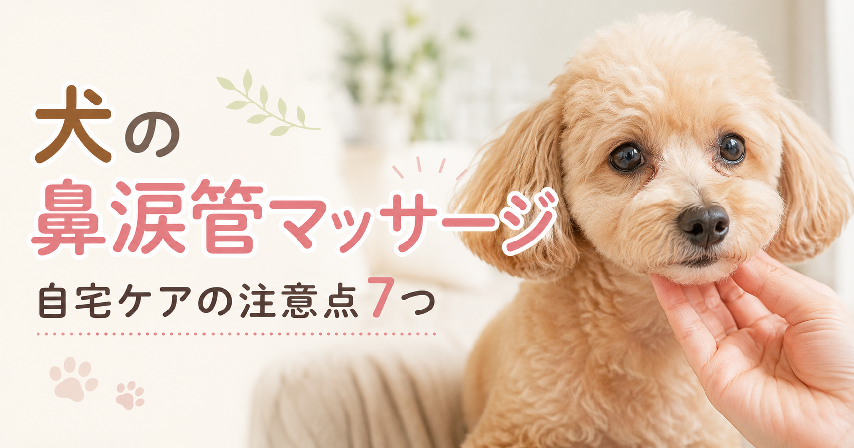 犬の鼻涙管マッサージと涙やけケアの注意点を伝えるアイキャッチ画像