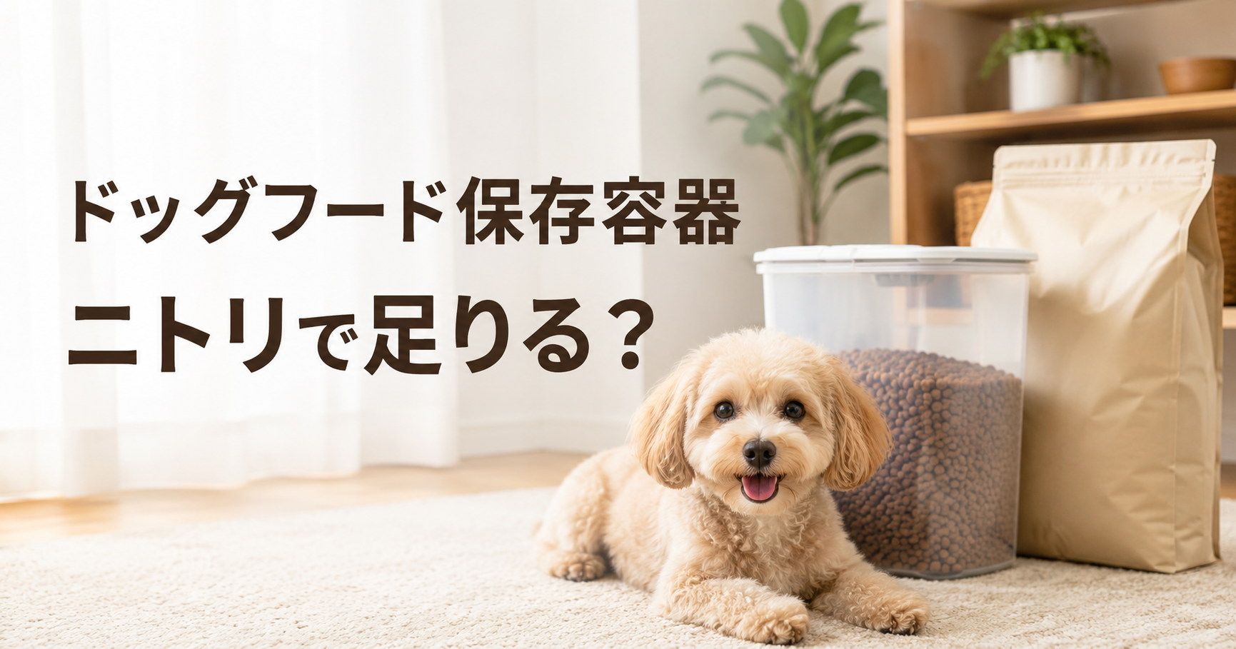 ドッグフード保存容器はニトリで足りるかを解説する記事のアイキャッチ画像