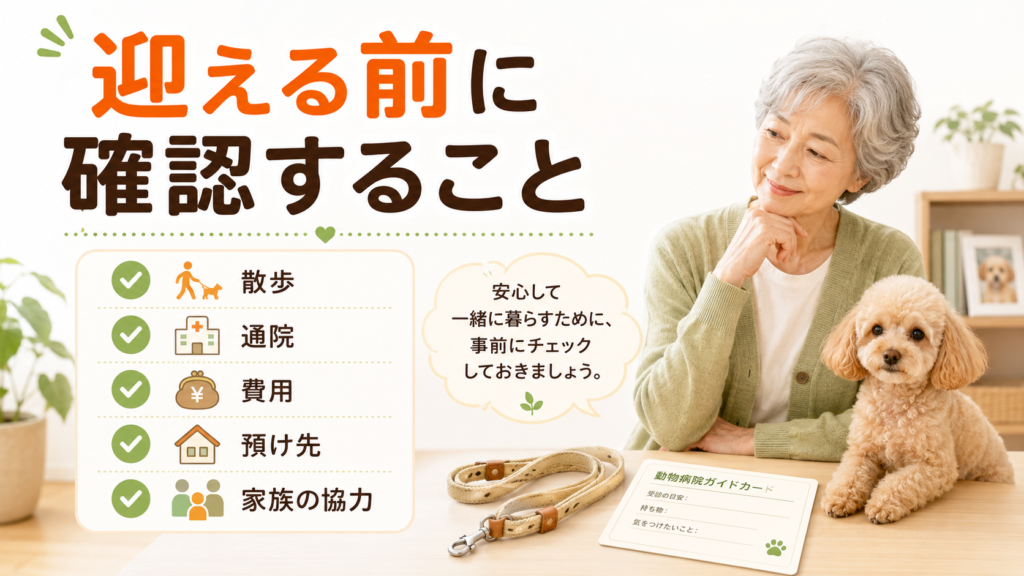 高齢者が犬を迎える前に確認したい体力費用通院預け先のチェックリスト