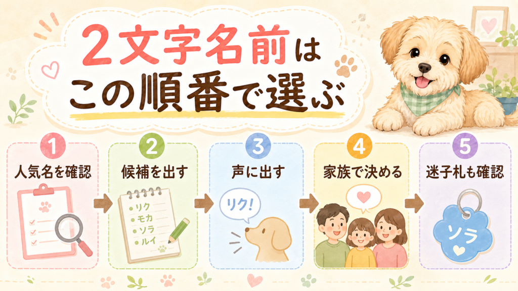 珍しい2文字の犬の名前を選ぶ流れを整理した図