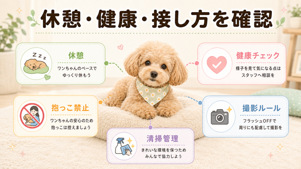 犬カフェRioで犬の休憩や健康チェックなどの配慮を見るポイントを整理した図解