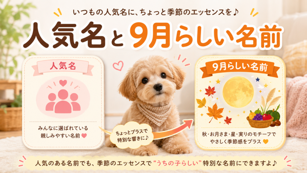 人気の犬の名前と9月らしい犬の名前の違いを比較した図解