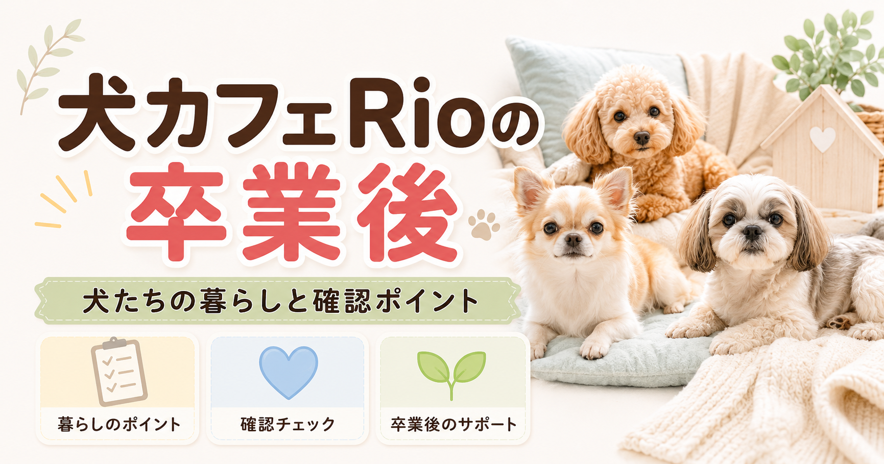 犬カフェRioの卒業後と確認ポイントをやさしく整理したアイキャッチ画像