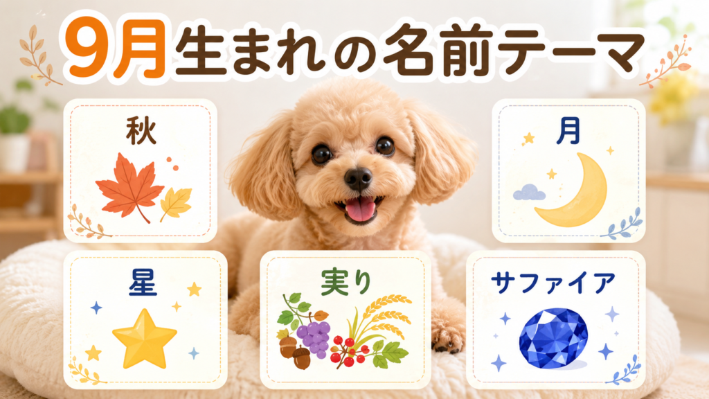 9月生まれの犬に合う秋や月や星を連想する名前テーマ図解