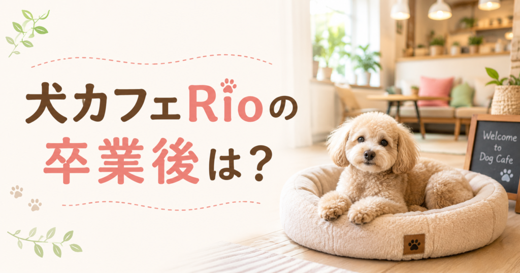 犬カフェRioの卒業後について公式情報と確認ポイントを整理したアイキャッチ