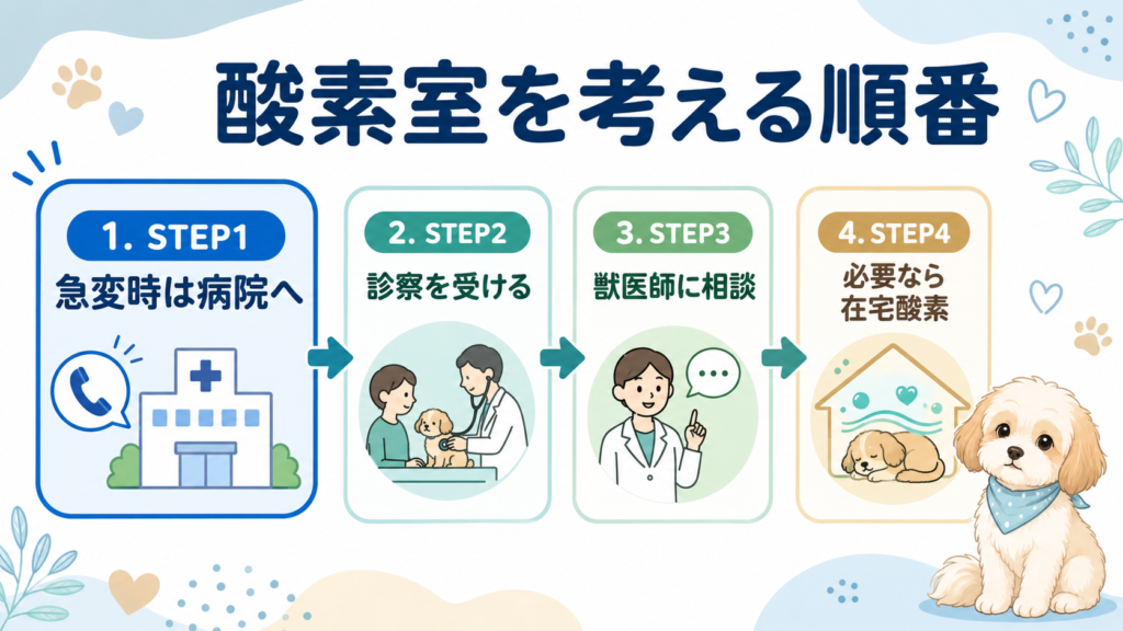 犬の呼吸が苦しい時に酸素室を検討する順番