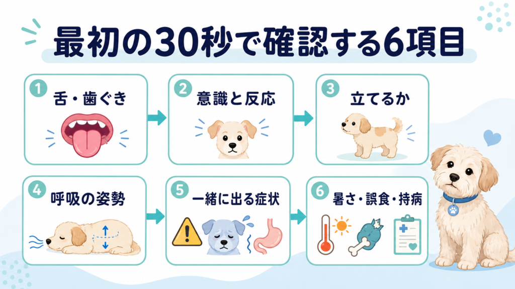 犬の呼吸が荒く震える時に最初の30秒で確認する6項目