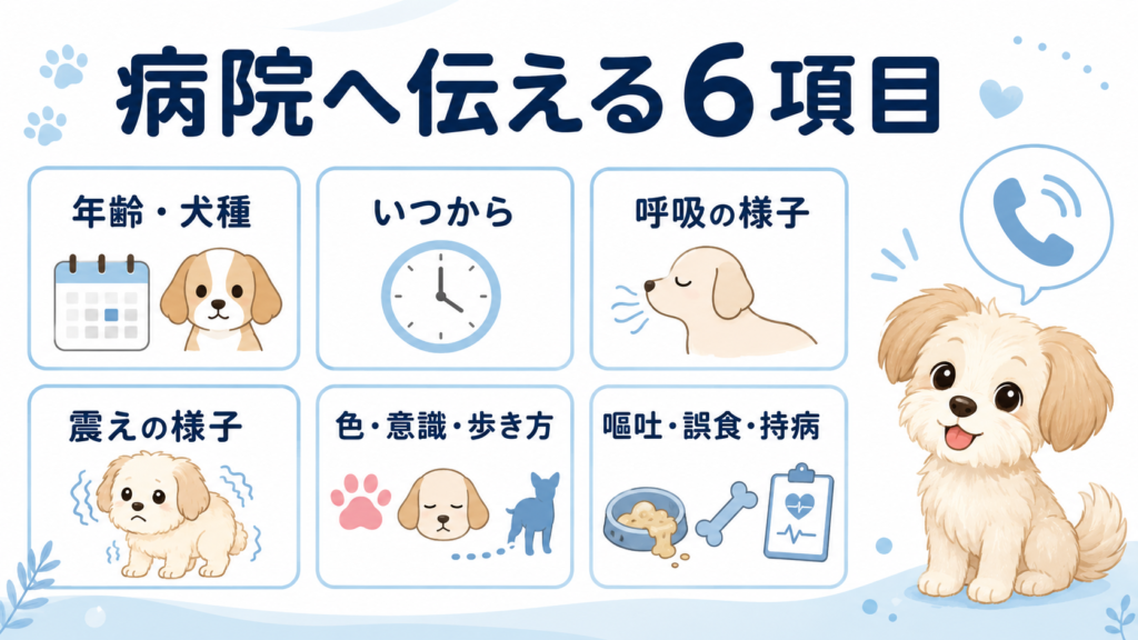 犬の呼吸が荒く震える時に病院へ伝える6項目