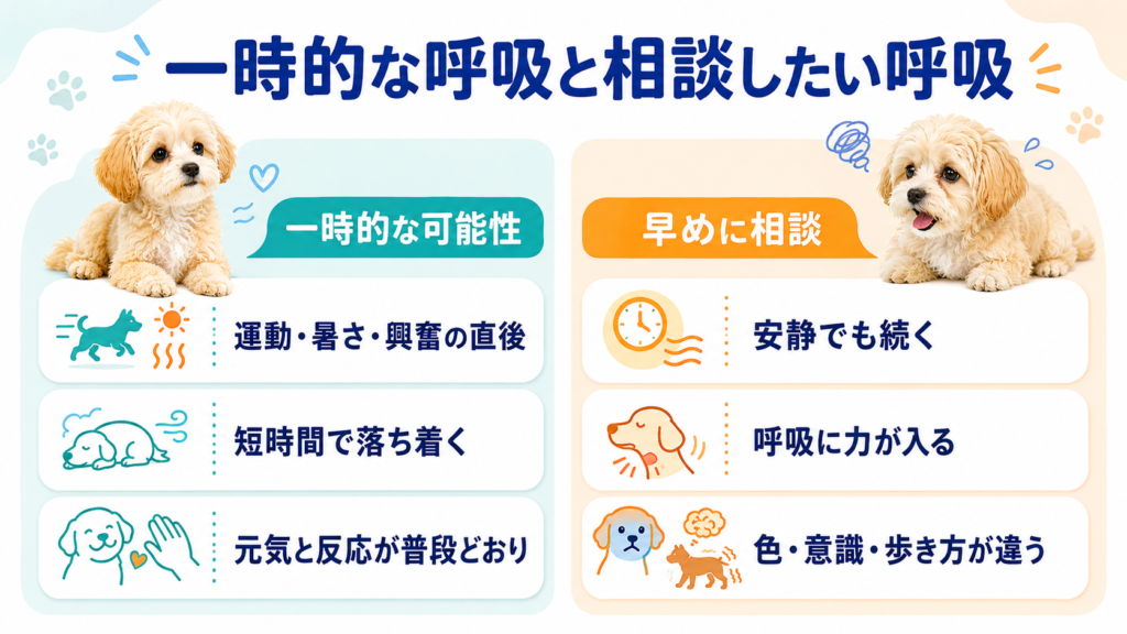 犬の一時的なパンティングと早めに相談したい呼吸の違い