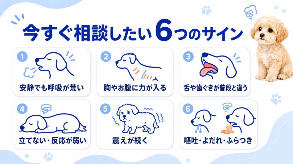 犬の呼吸が荒く震える時に今すぐ相談したい6つのサイン