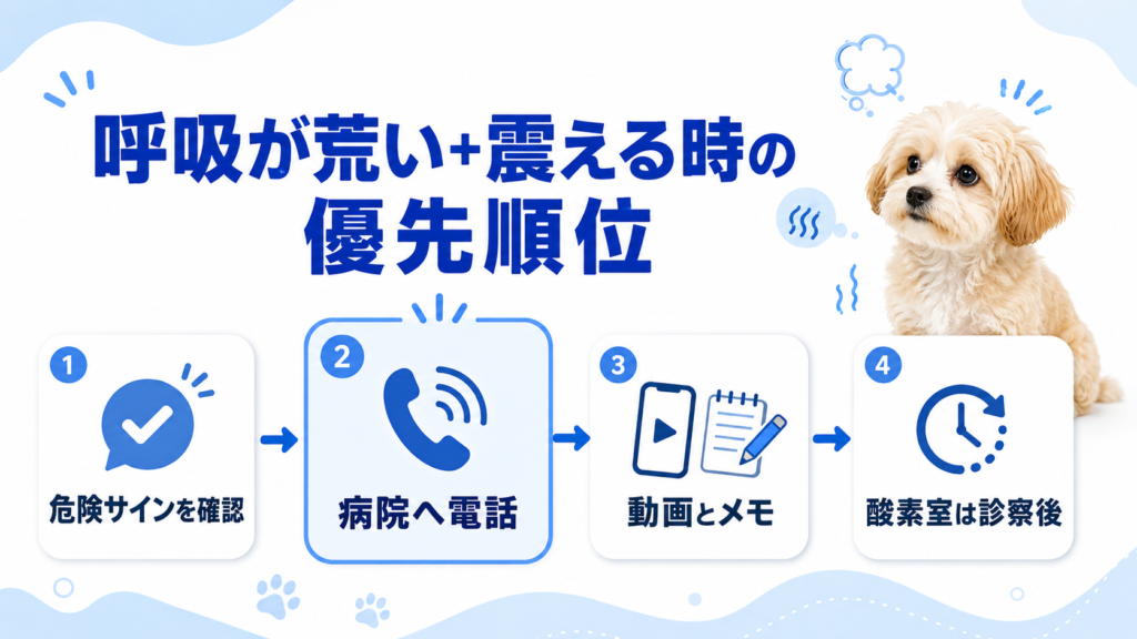 犬の呼吸が荒く震える時の優先順位